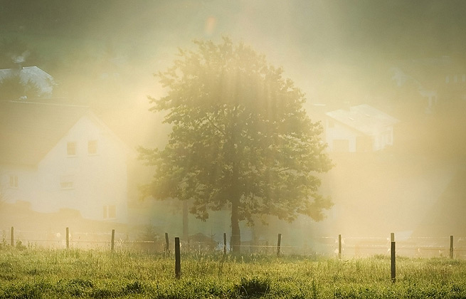 【手机版】移动的网站攻击源码