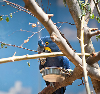 企业级应用支持的网站攻击源码